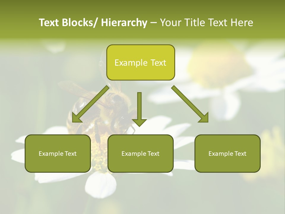 A Bee On A Flower Powerpoint Template PowerPoint Template