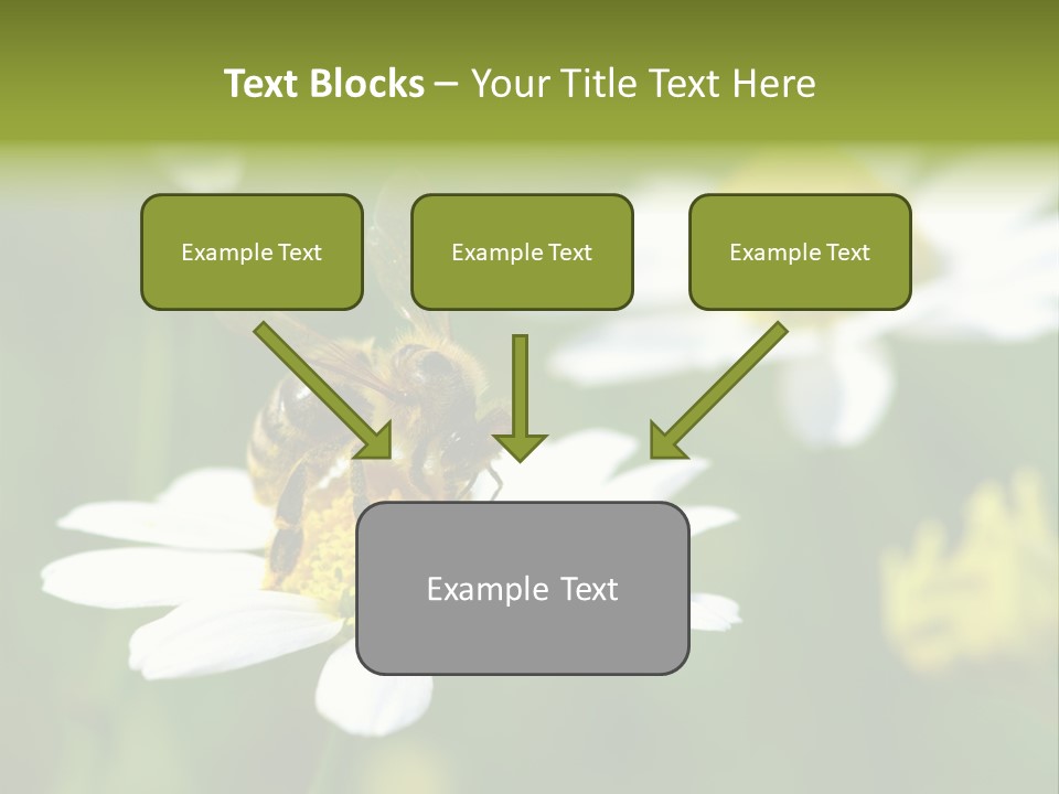 A Bee On A Flower Powerpoint Template PowerPoint Template