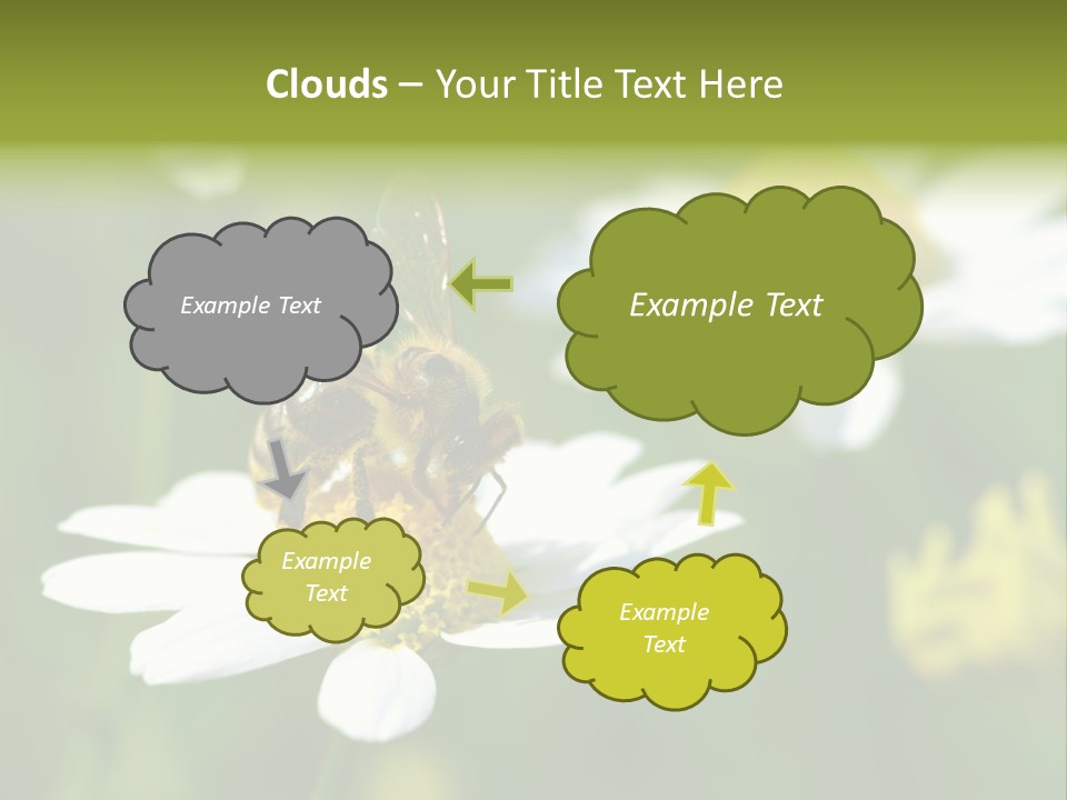 A Bee On A Flower Powerpoint Template PowerPoint Template