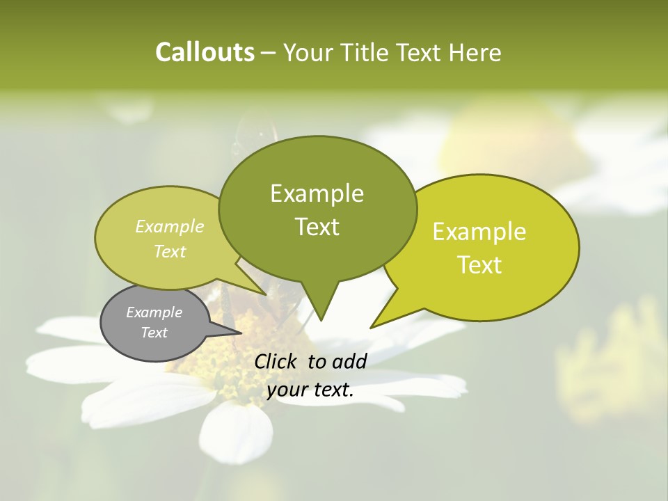 A Bee On A Flower Powerpoint Template PowerPoint Template