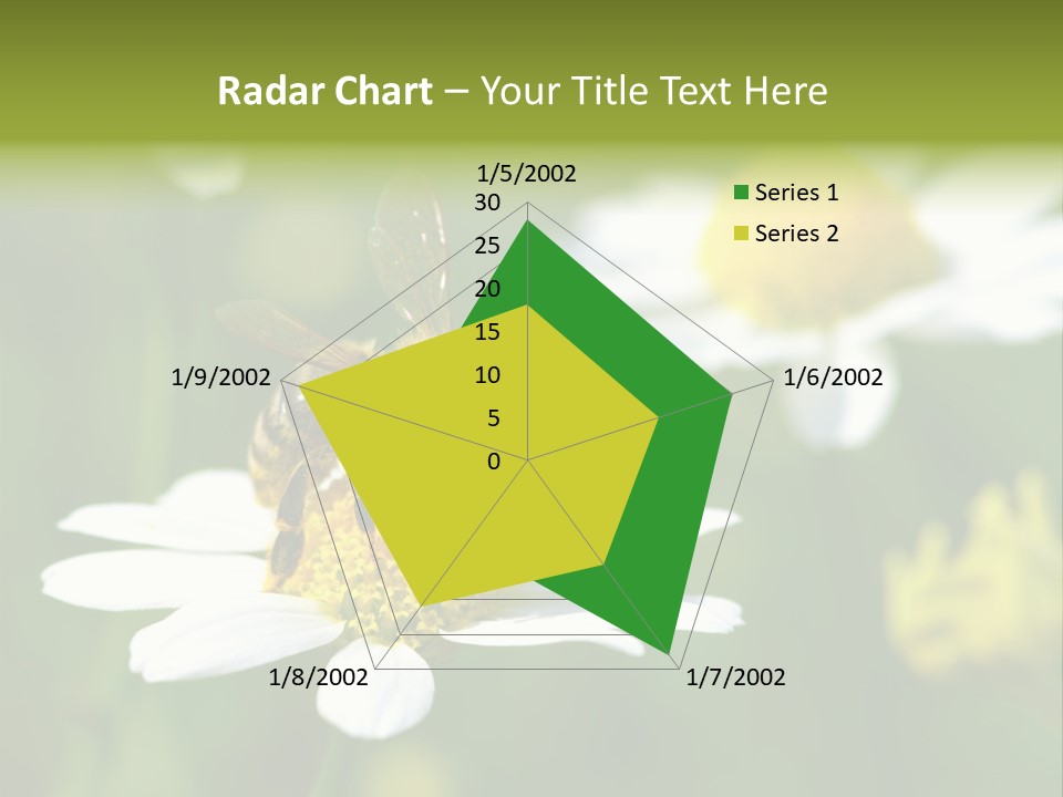 A Bee On A Flower Powerpoint Template PowerPoint Template