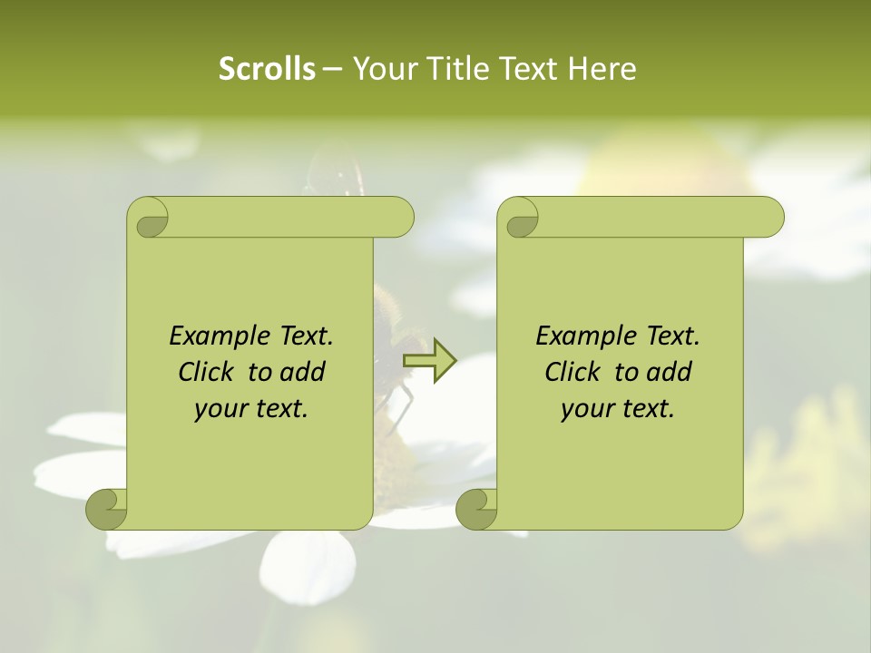A Bee On A Flower Powerpoint Template PowerPoint Template