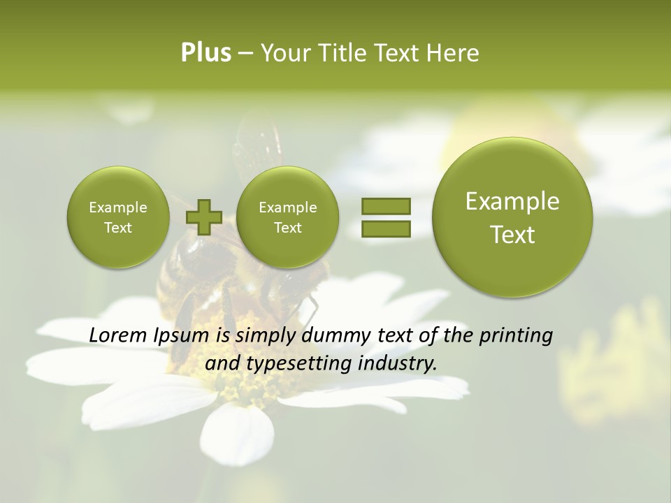 A Bee On A Flower Powerpoint Template PowerPoint Template
