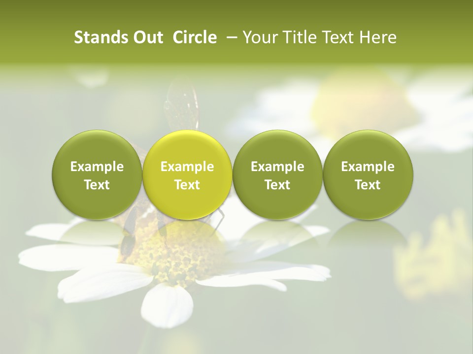 A Bee On A Flower Powerpoint Template PowerPoint Template