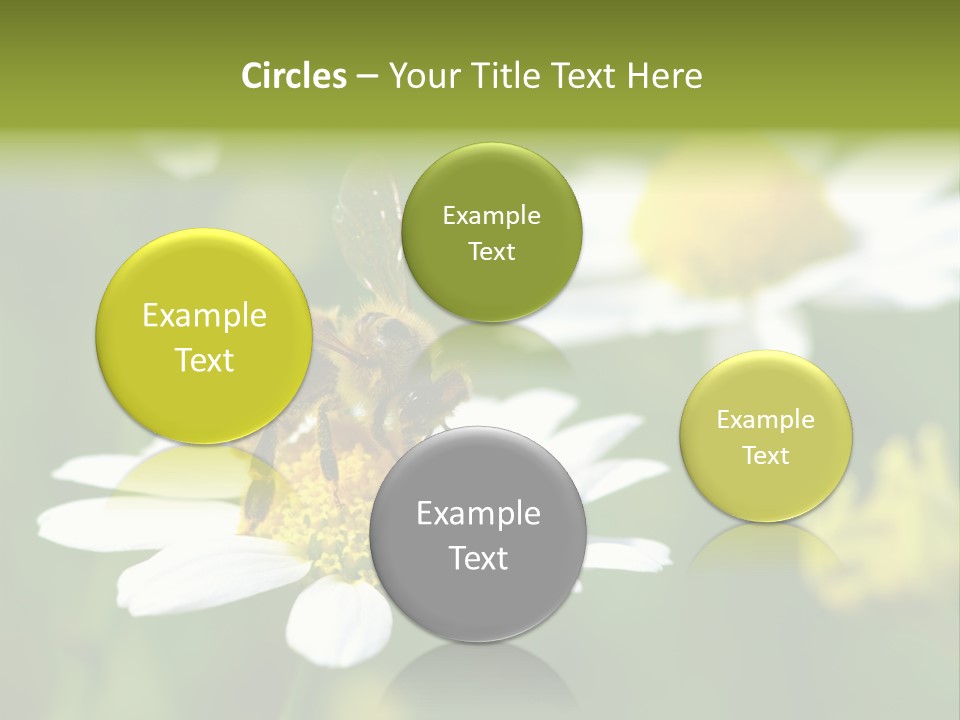 A Bee On A Flower Powerpoint Template PowerPoint Template