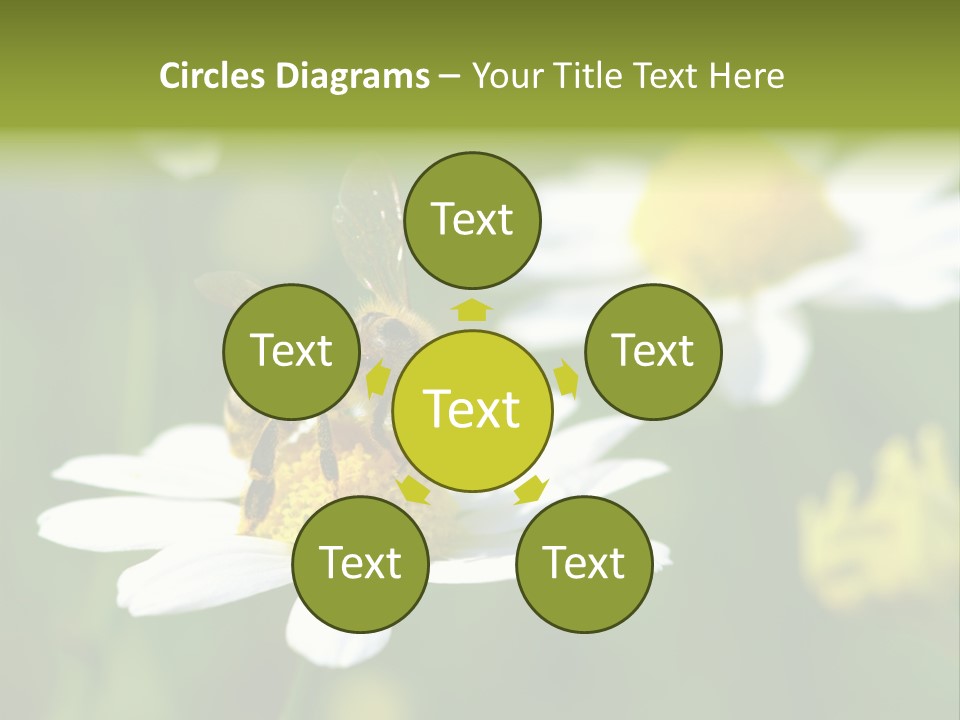 A Bee On A Flower Powerpoint Template PowerPoint Template