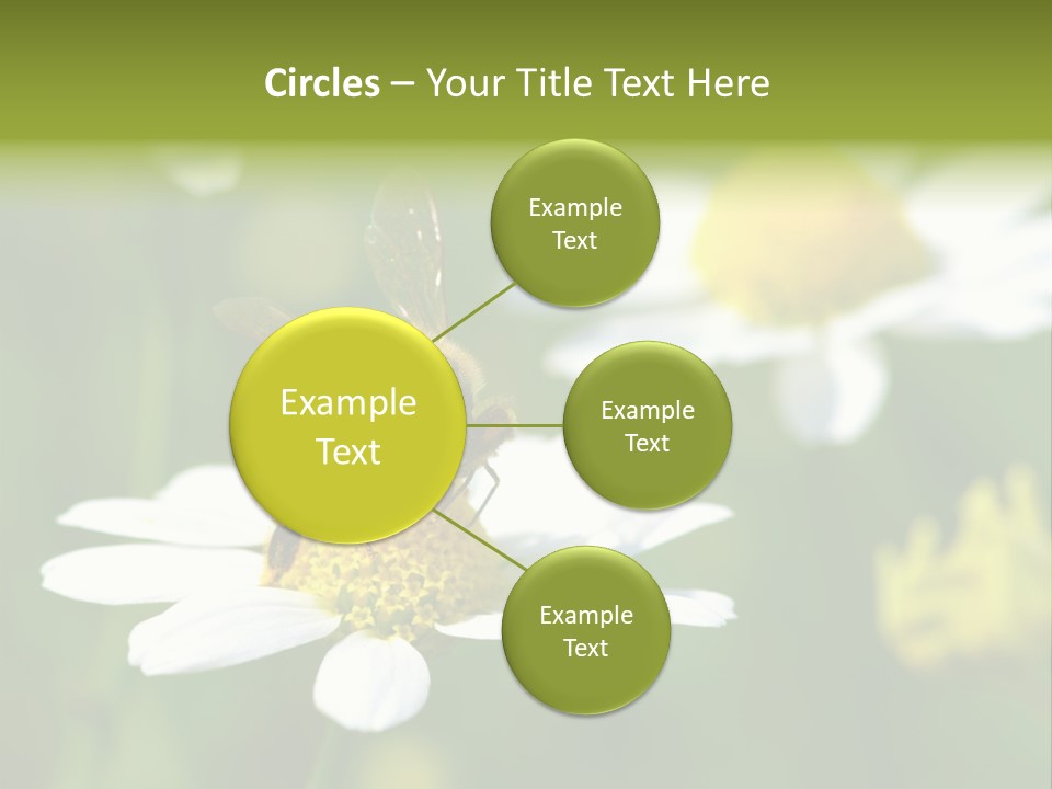 A Bee On A Flower Powerpoint Template PowerPoint Template