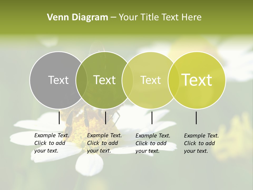 A Bee On A Flower Powerpoint Template PowerPoint Template