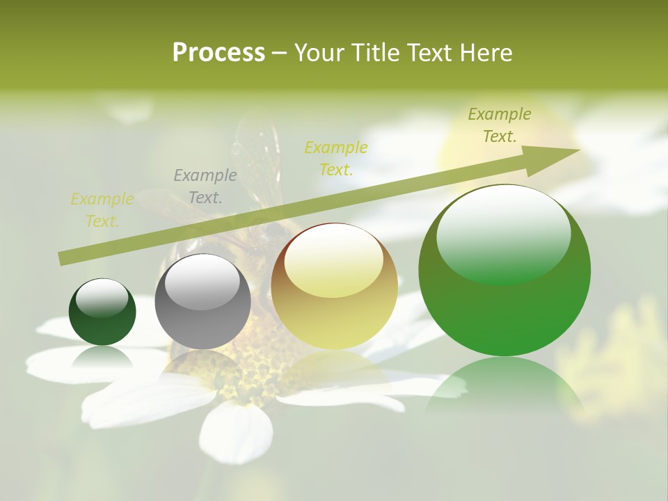 A Bee On A Flower Powerpoint Template PowerPoint Template