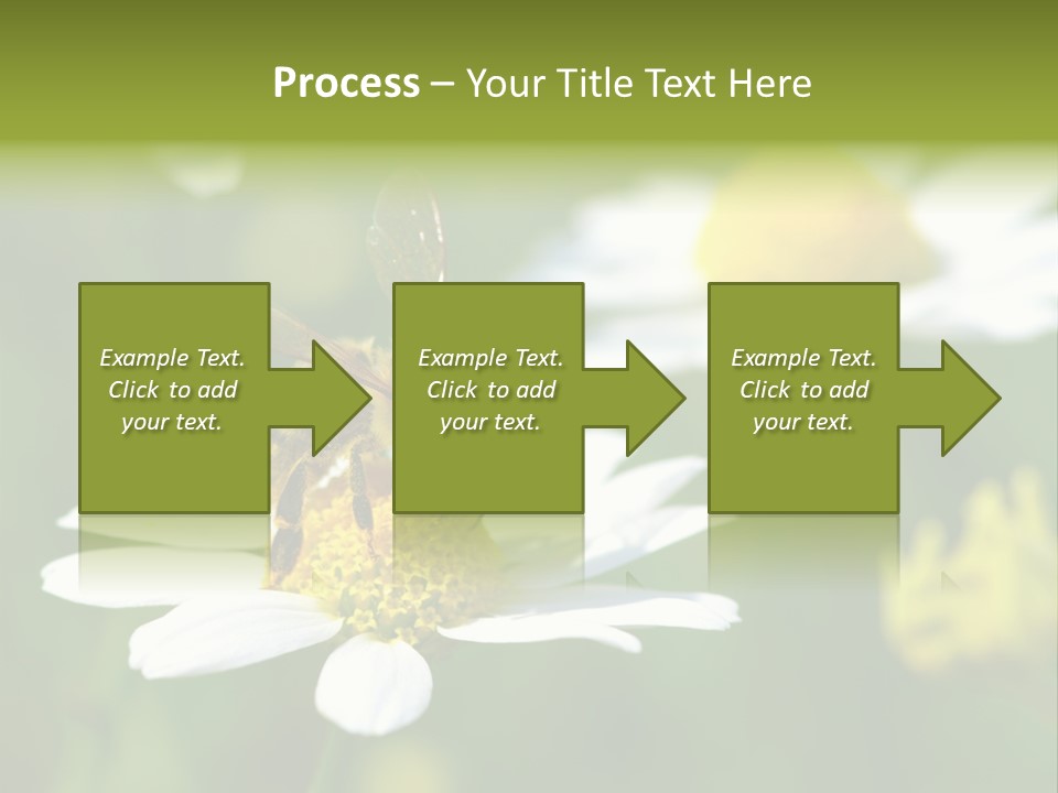 A Bee On A Flower Powerpoint Template PowerPoint Template