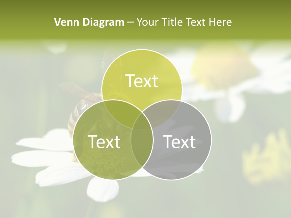 A Bee On A Flower Powerpoint Template PowerPoint Template