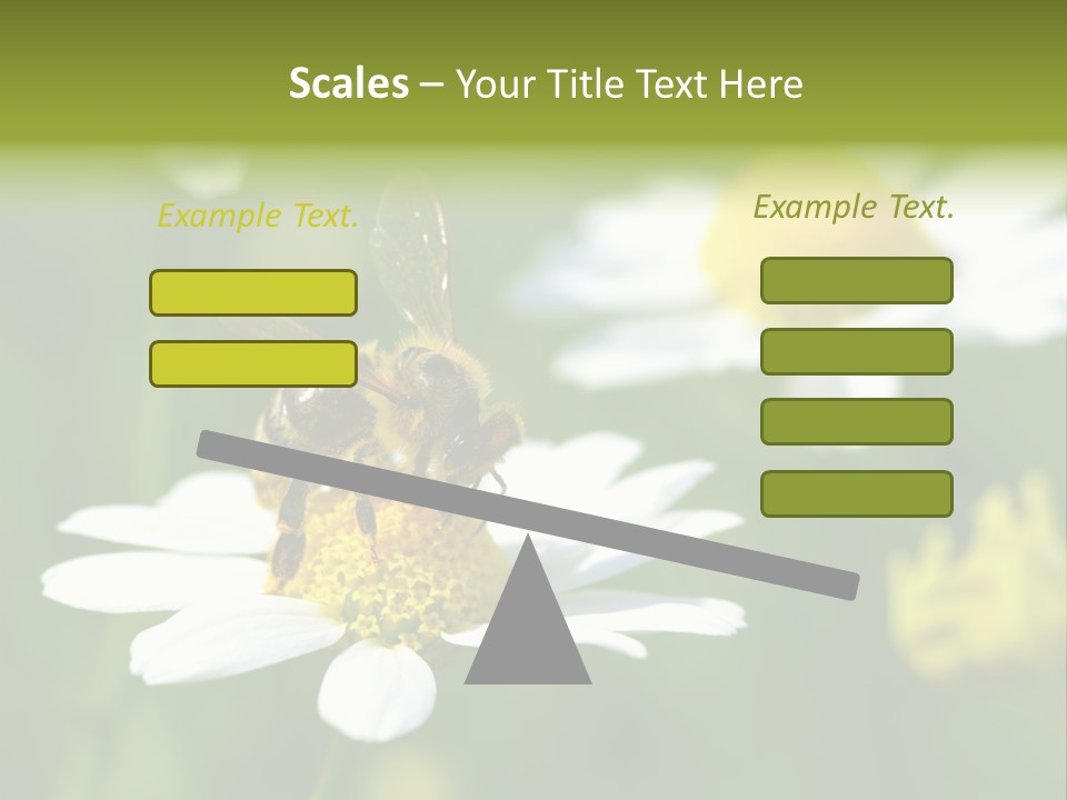A Bee On A Flower Powerpoint Template PowerPoint Template