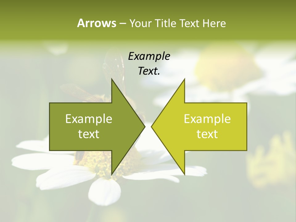 A Bee On A Flower Powerpoint Template PowerPoint Template