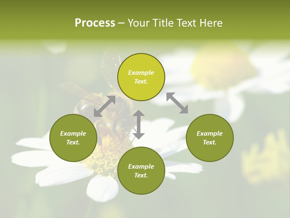 A Bee On A Flower Powerpoint Template PowerPoint Template