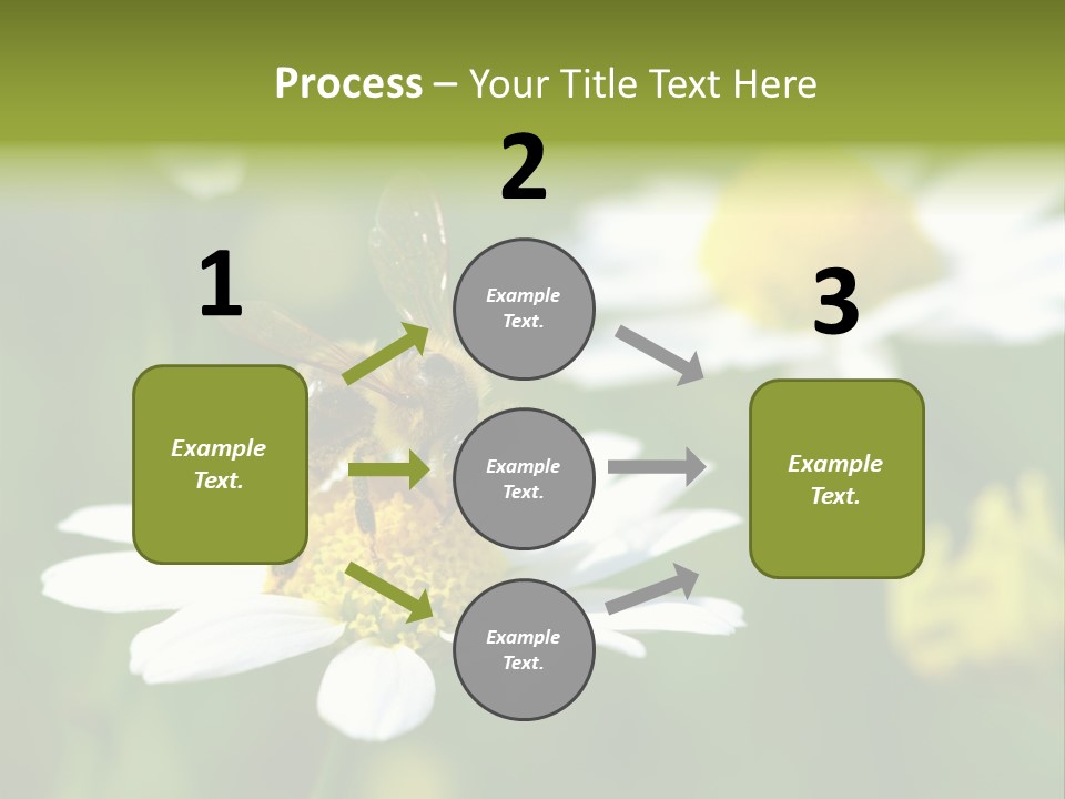 A Bee On A Flower Powerpoint Template PowerPoint Template