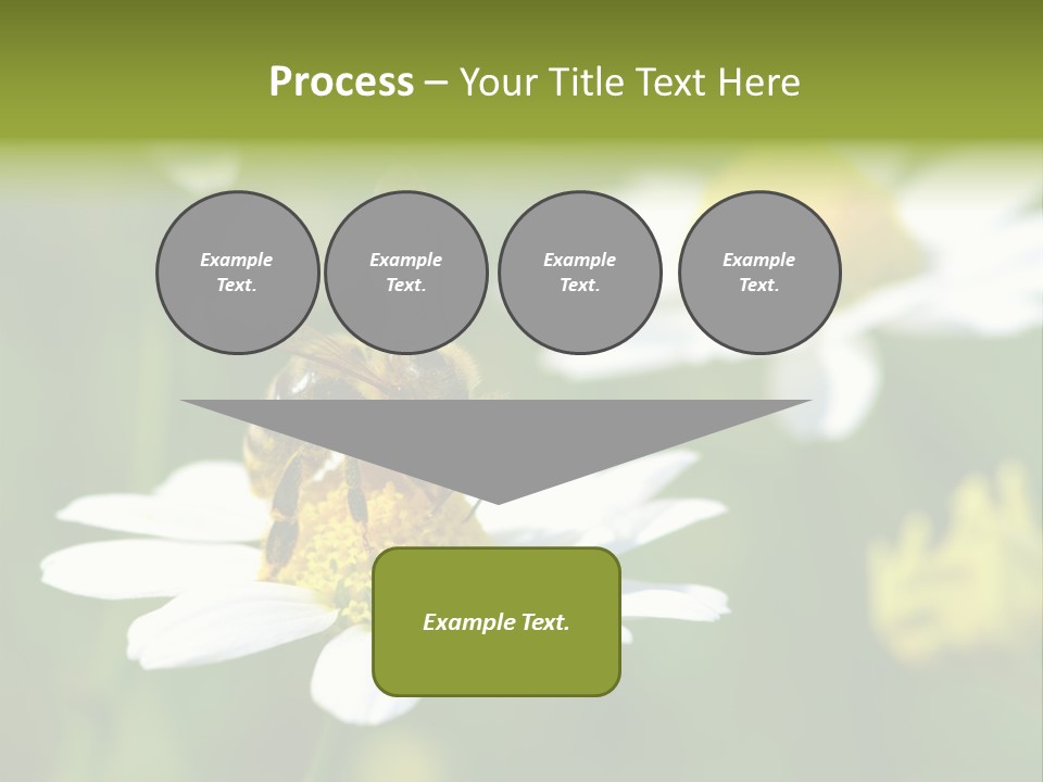 A Bee On A Flower Powerpoint Template PowerPoint Template