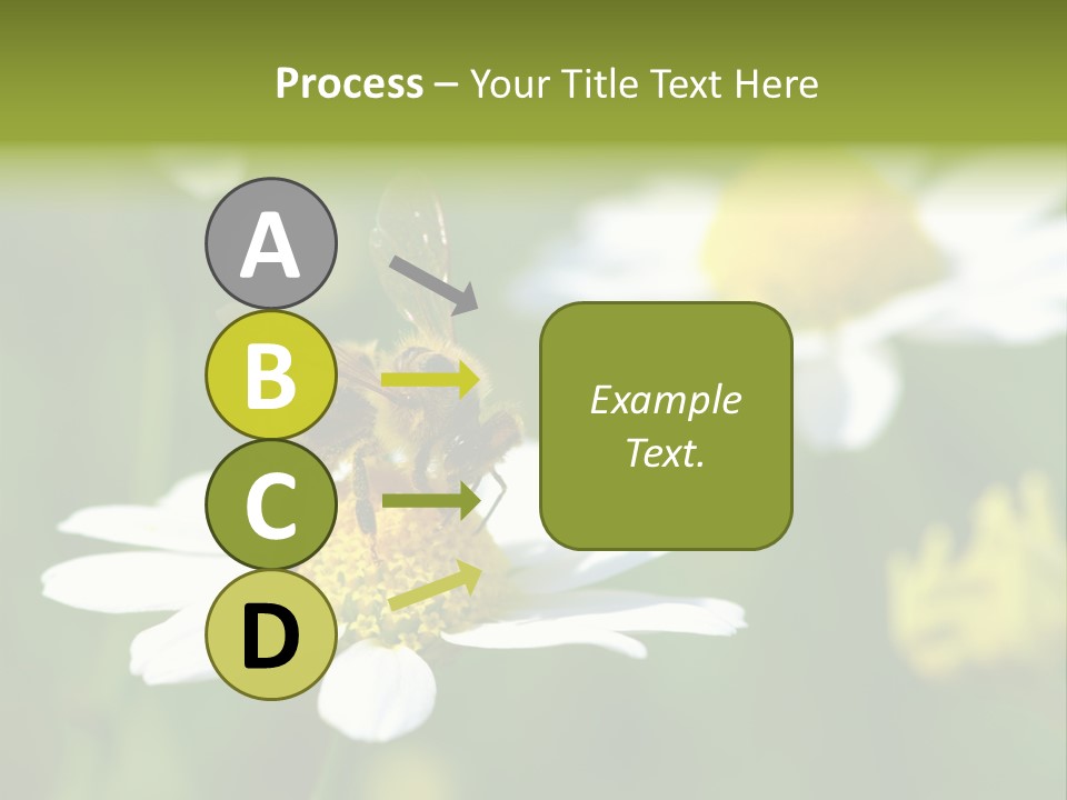 A Bee On A Flower Powerpoint Template PowerPoint Template
