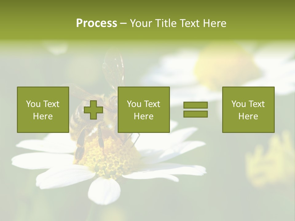 A Bee On A Flower Powerpoint Template PowerPoint Template