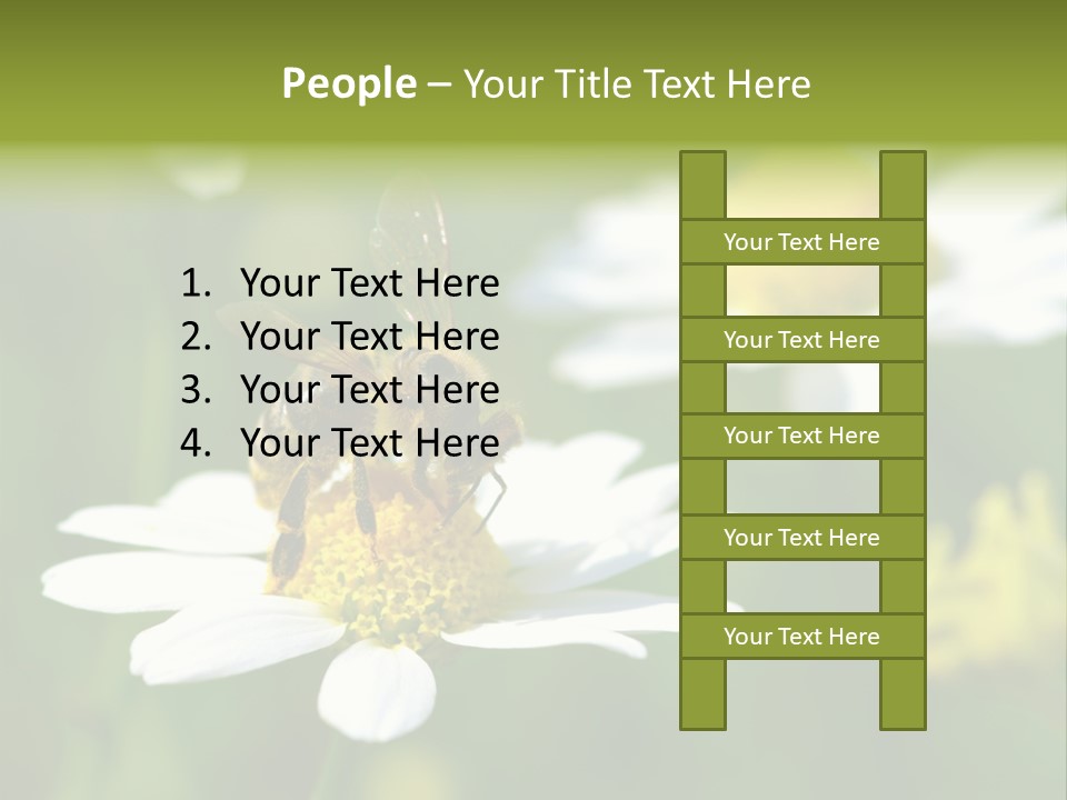 A Bee On A Flower Powerpoint Template PowerPoint Template