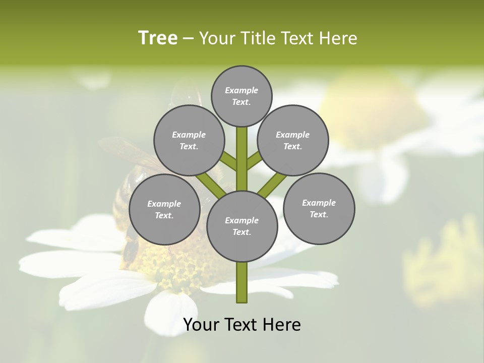 A Bee On A Flower Powerpoint Template PowerPoint Template