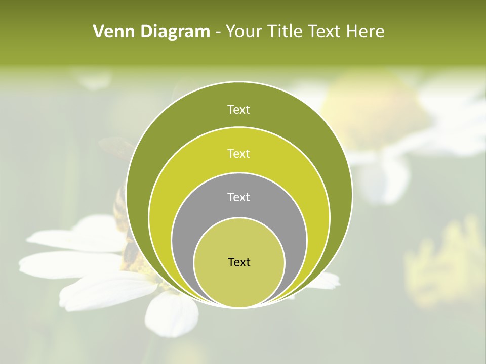 A Bee On A Flower Powerpoint Template PowerPoint Template