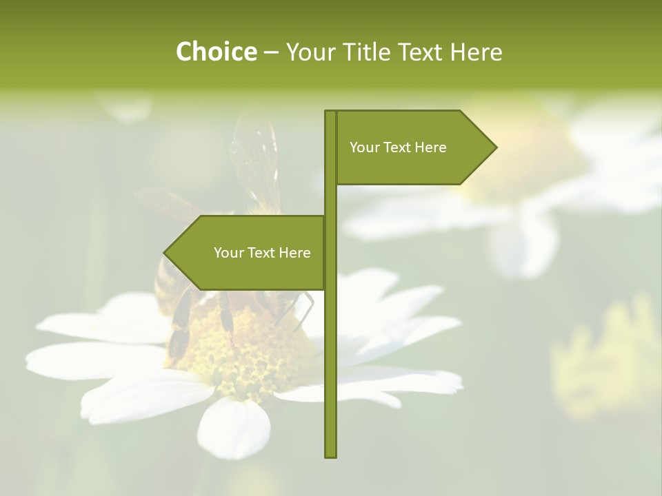 A Bee On A Flower Powerpoint Template PowerPoint Template