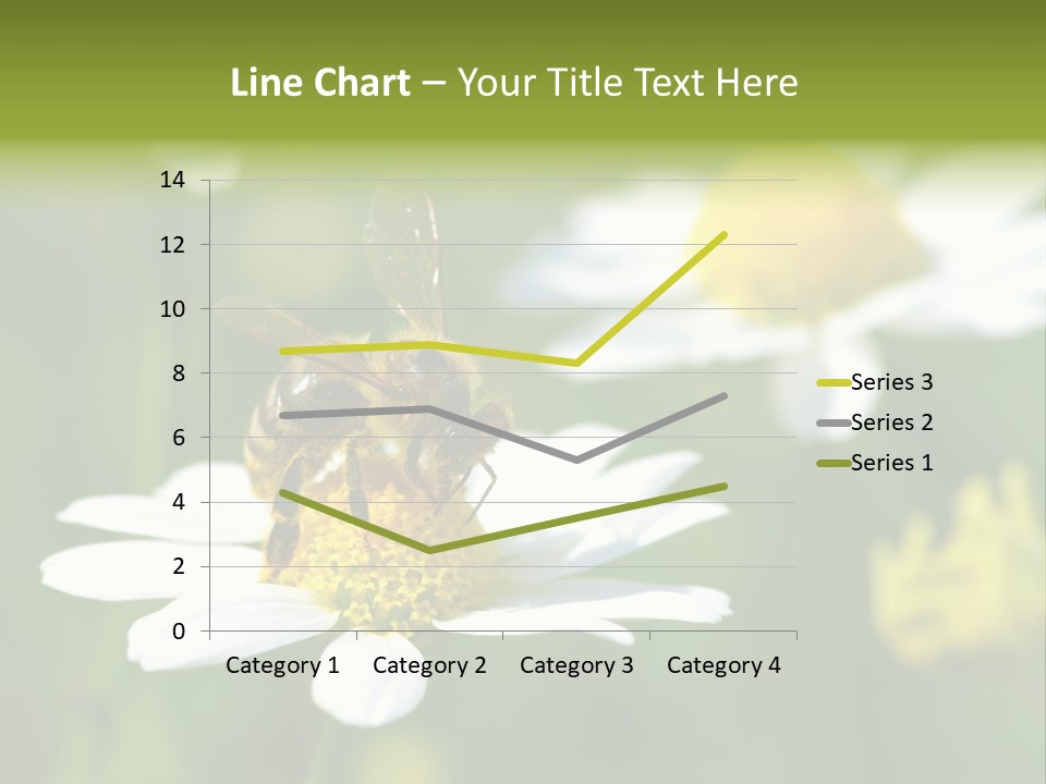 A Bee On A Flower Powerpoint Template PowerPoint Template