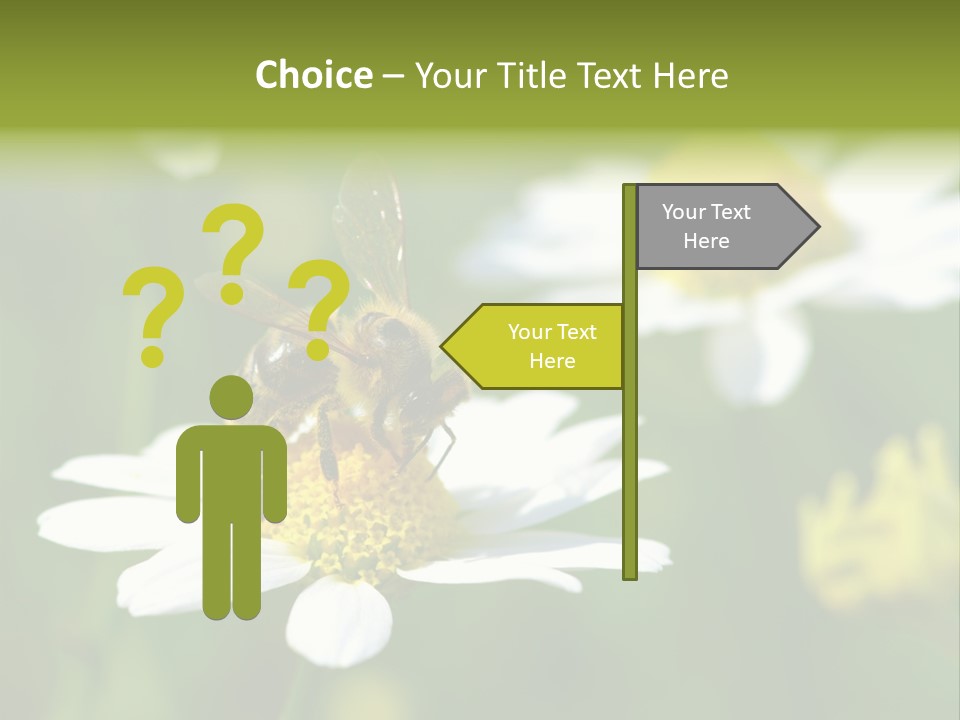 A Bee On A Flower Powerpoint Template PowerPoint Template