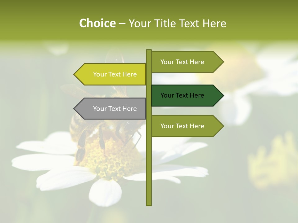 A Bee On A Flower Powerpoint Template PowerPoint Template