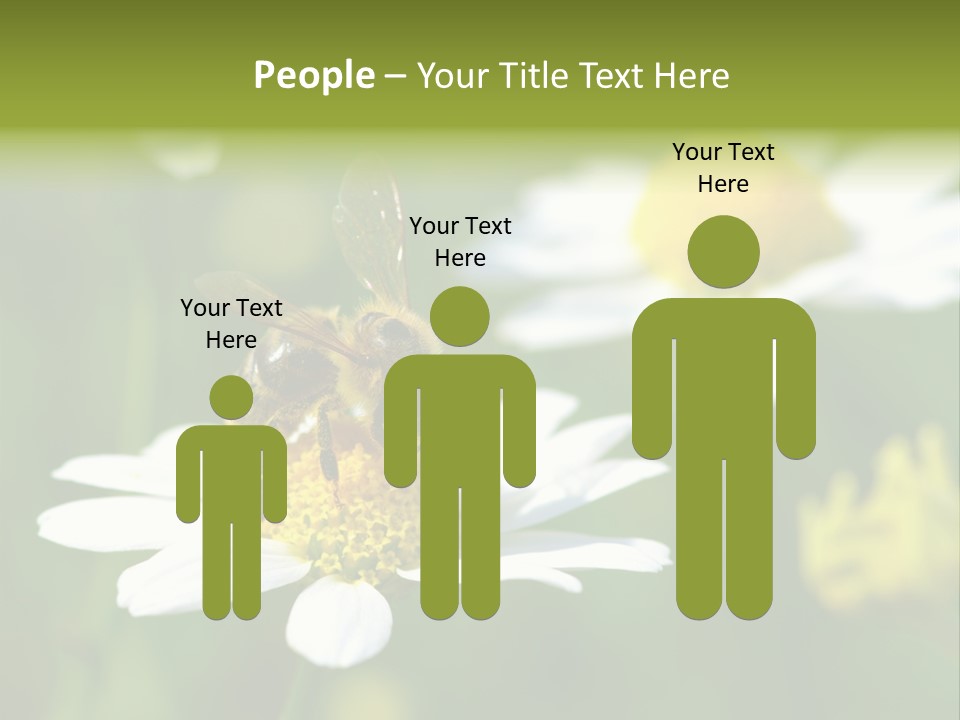 A Bee On A Flower Powerpoint Template PowerPoint Template
