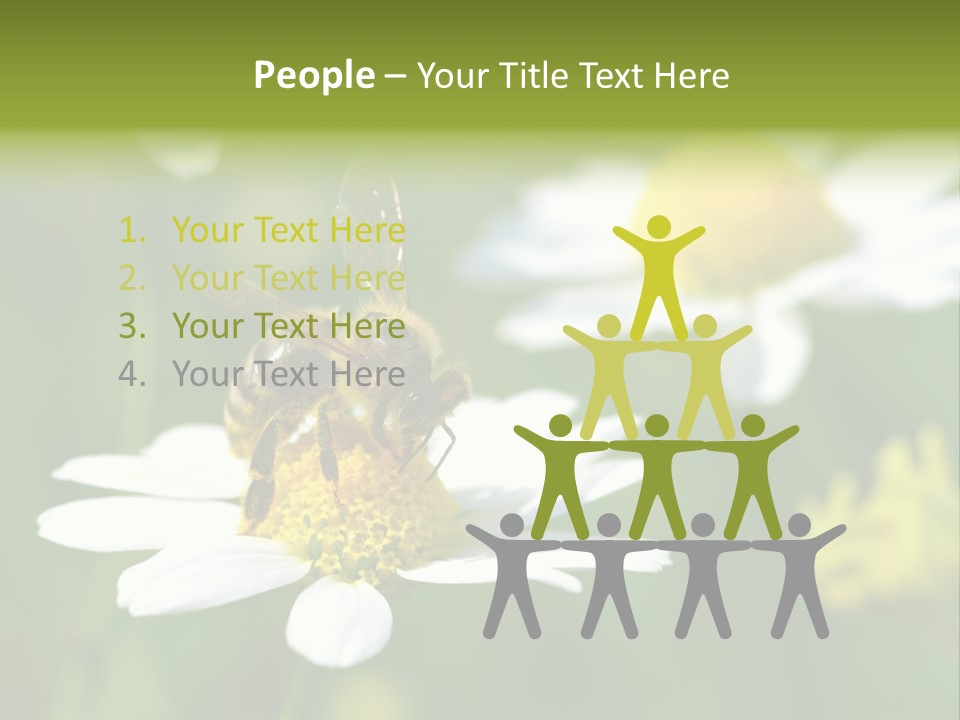 A Bee On A Flower Powerpoint Template PowerPoint Template