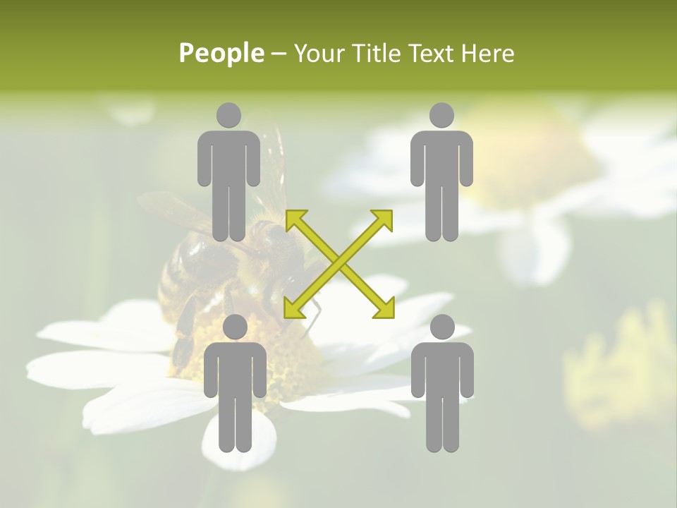 A Bee On A Flower Powerpoint Template PowerPoint Template