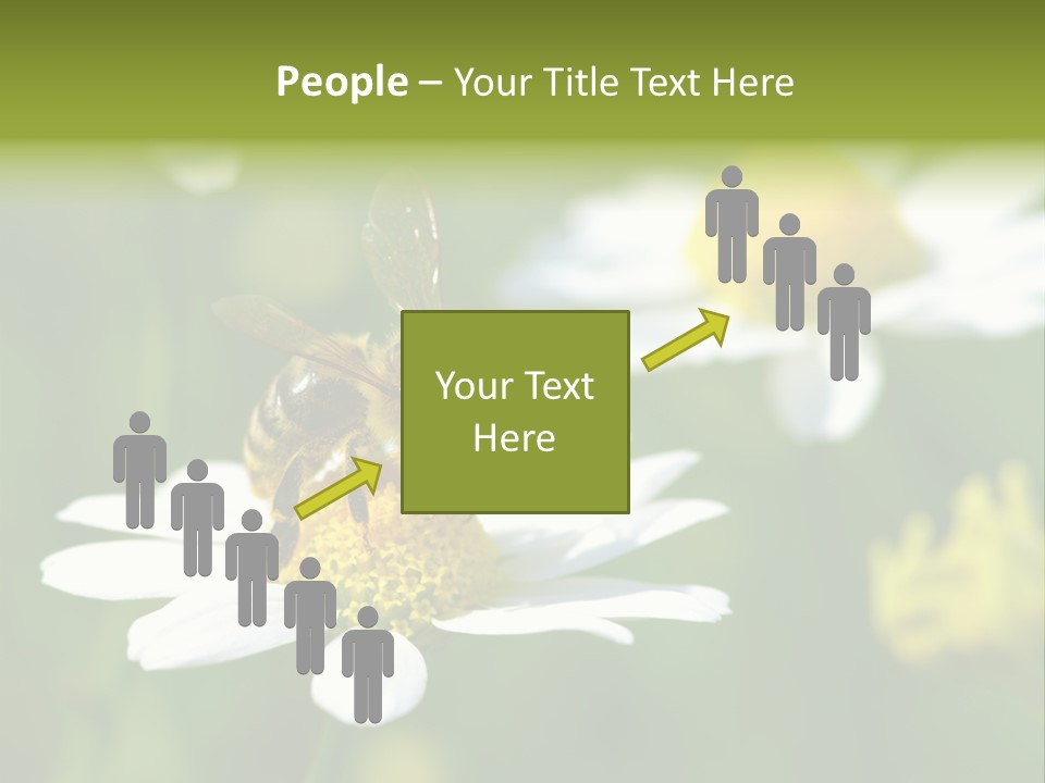 A Bee On A Flower Powerpoint Template PowerPoint Template