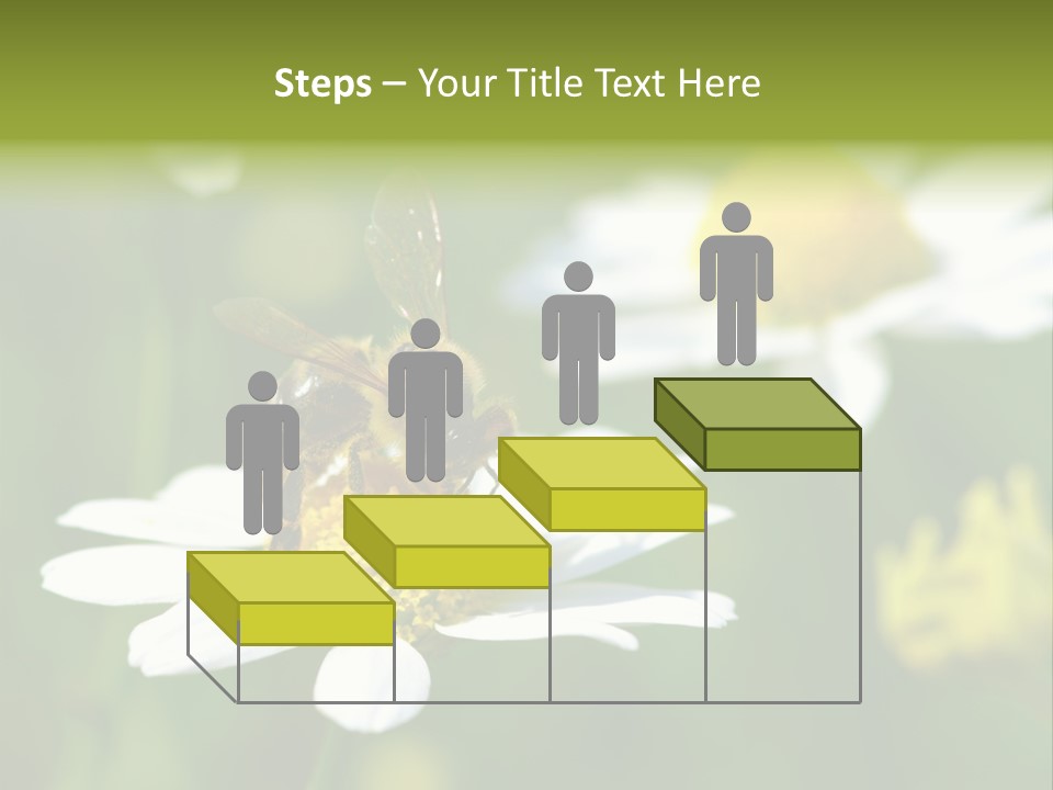 A Bee On A Flower Powerpoint Template PowerPoint Template