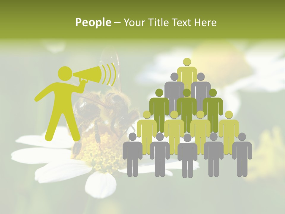 A Bee On A Flower Powerpoint Template PowerPoint Template