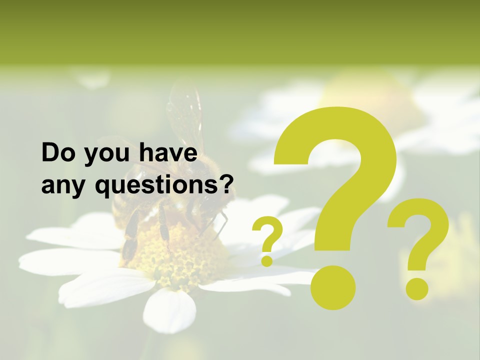 A Bee On A Flower Powerpoint Template PowerPoint Template