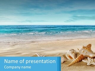 Seashells And Starfish On The Beach Powerpoint Template PowerPoint Template
