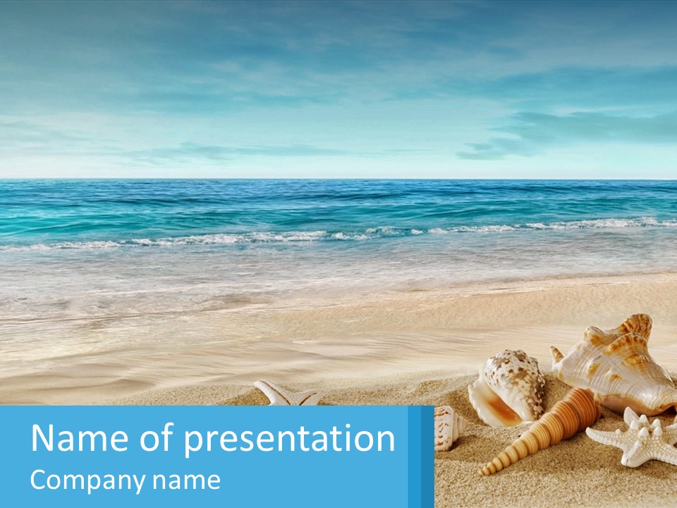 Seashells And Starfish On The Beach Powerpoint Template PowerPoint Template