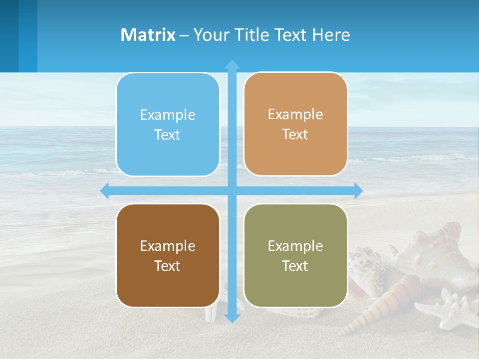 Seashells And Starfish On The Beach Powerpoint Template PowerPoint Template
