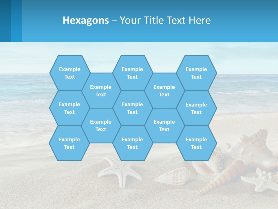 Seashells And Starfish On The Beach Powerpoint Template PowerPoint Template