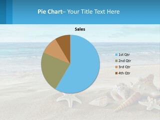 Seashells And Starfish On The Beach Powerpoint Template PowerPoint Template