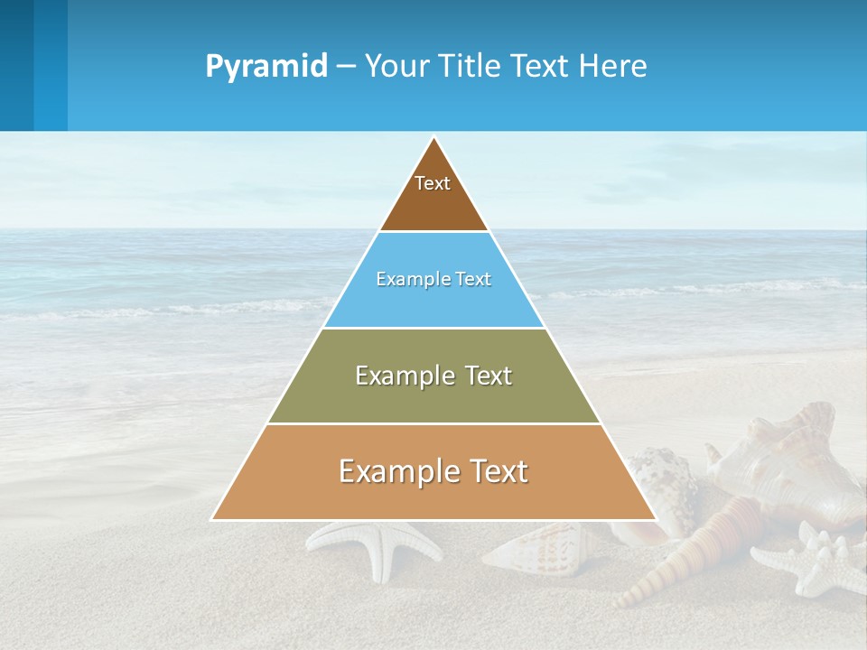 Seashells And Starfish On The Beach Powerpoint Template PowerPoint Template