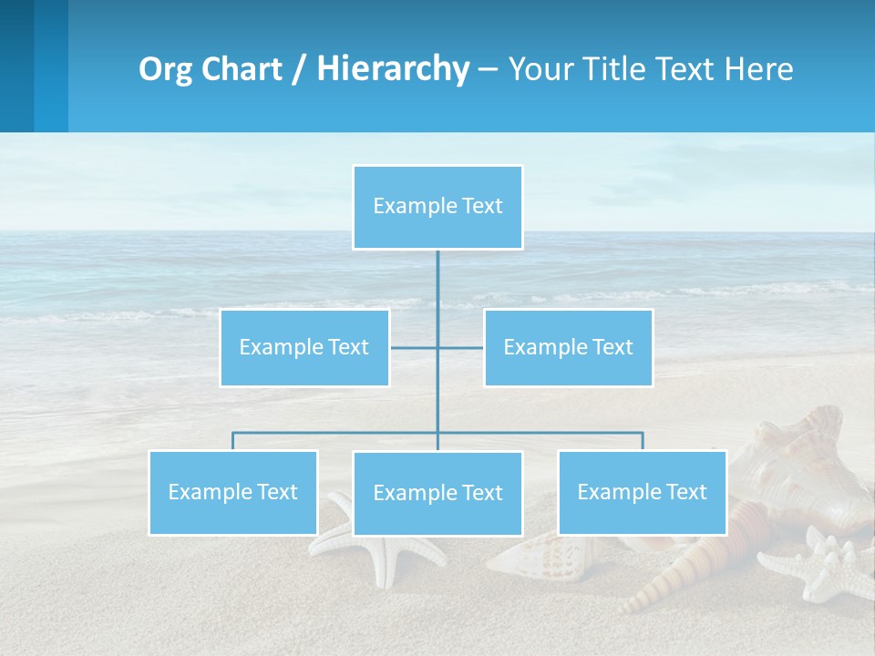 Seashells And Starfish On The Beach Powerpoint Template PowerPoint Template