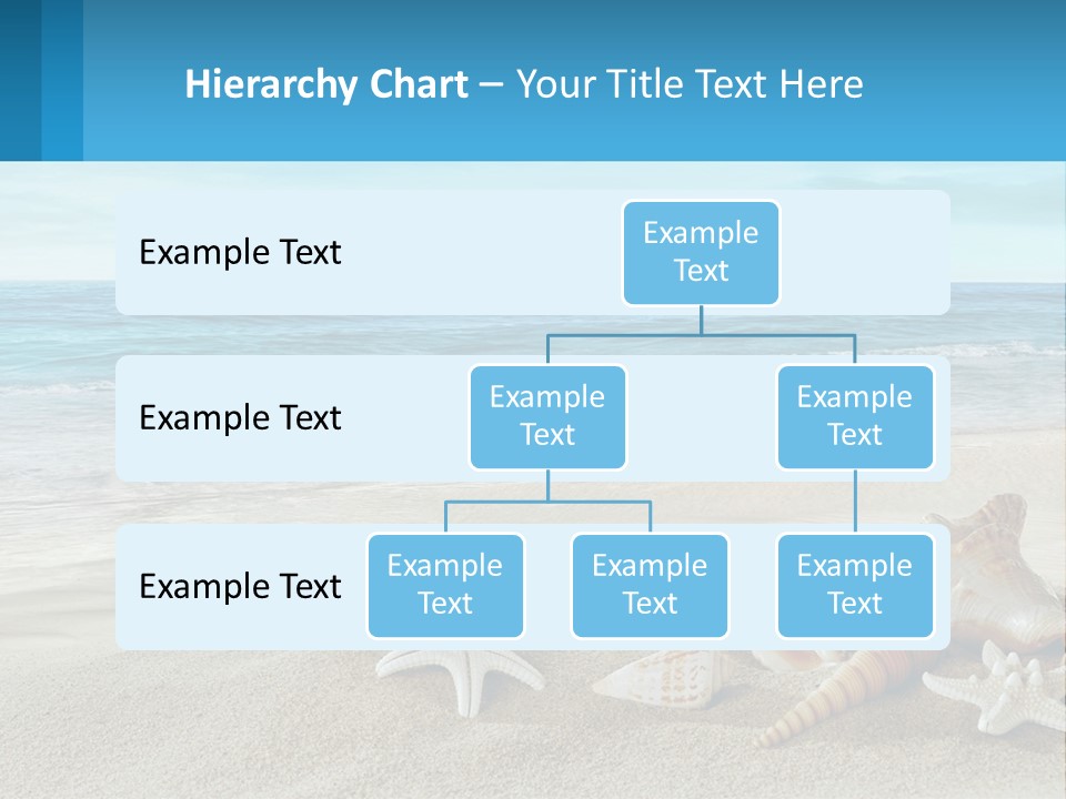 Seashells And Starfish On The Beach Powerpoint Template PowerPoint Template