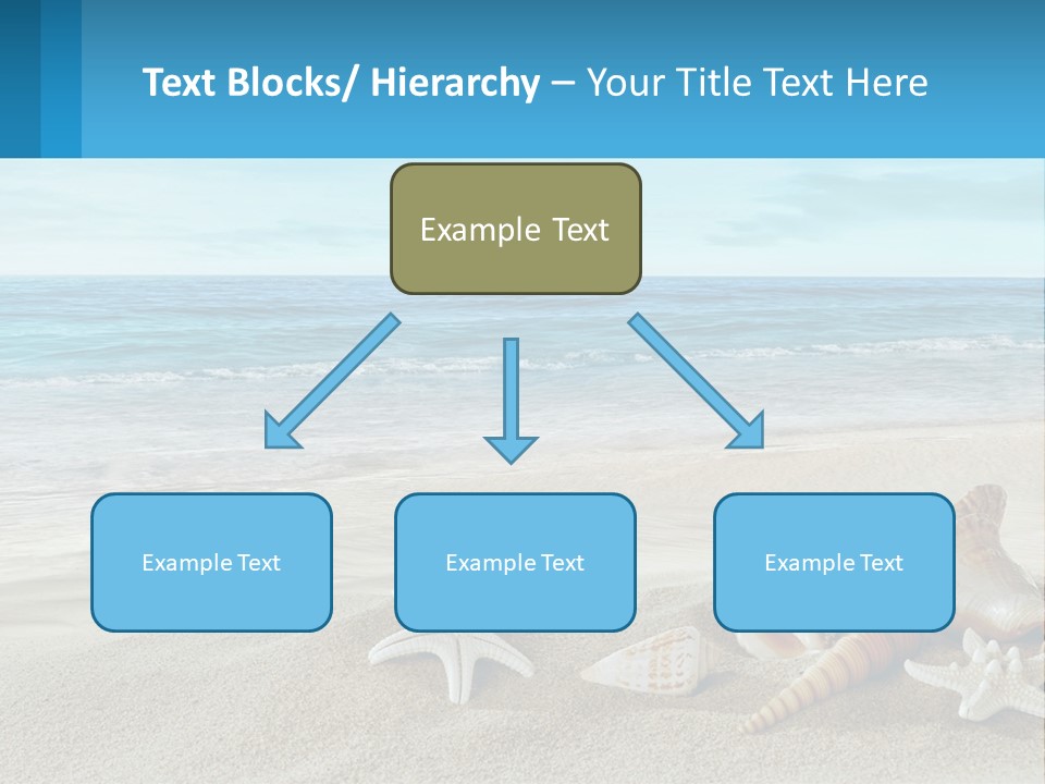 Seashells And Starfish On The Beach Powerpoint Template PowerPoint Template
