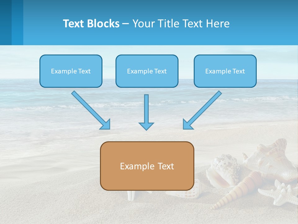 Seashells And Starfish On The Beach Powerpoint Template PowerPoint Template