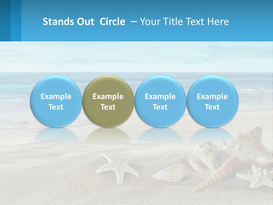 Seashells And Starfish On The Beach Powerpoint Template PowerPoint Template