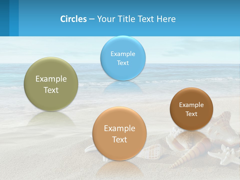 Seashells And Starfish On The Beach Powerpoint Template PowerPoint Template