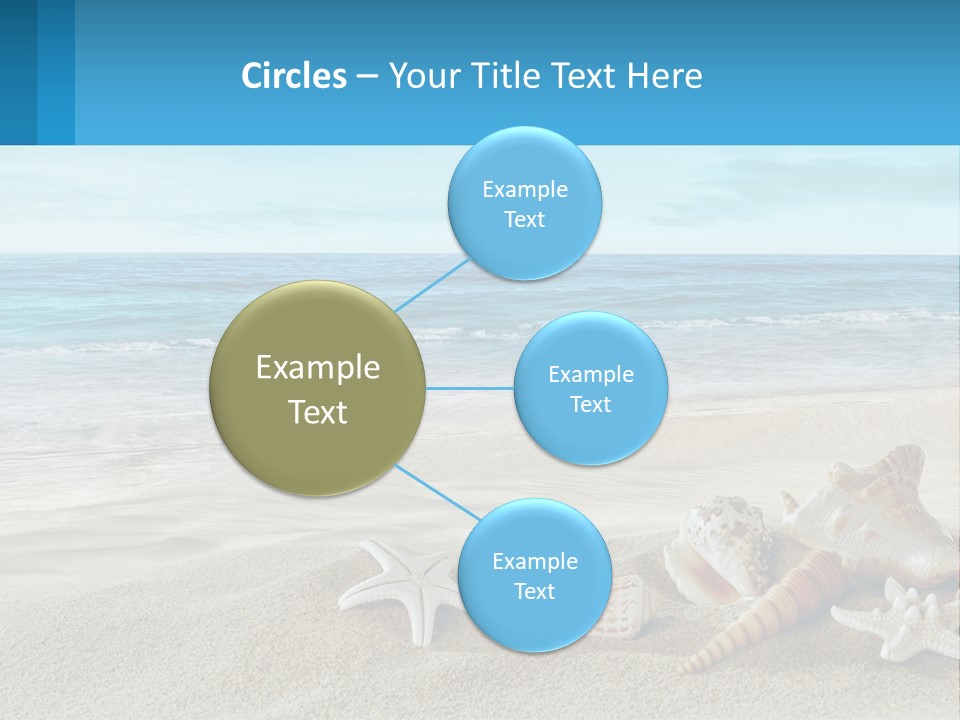 Seashells And Starfish On The Beach Powerpoint Template PowerPoint Template
