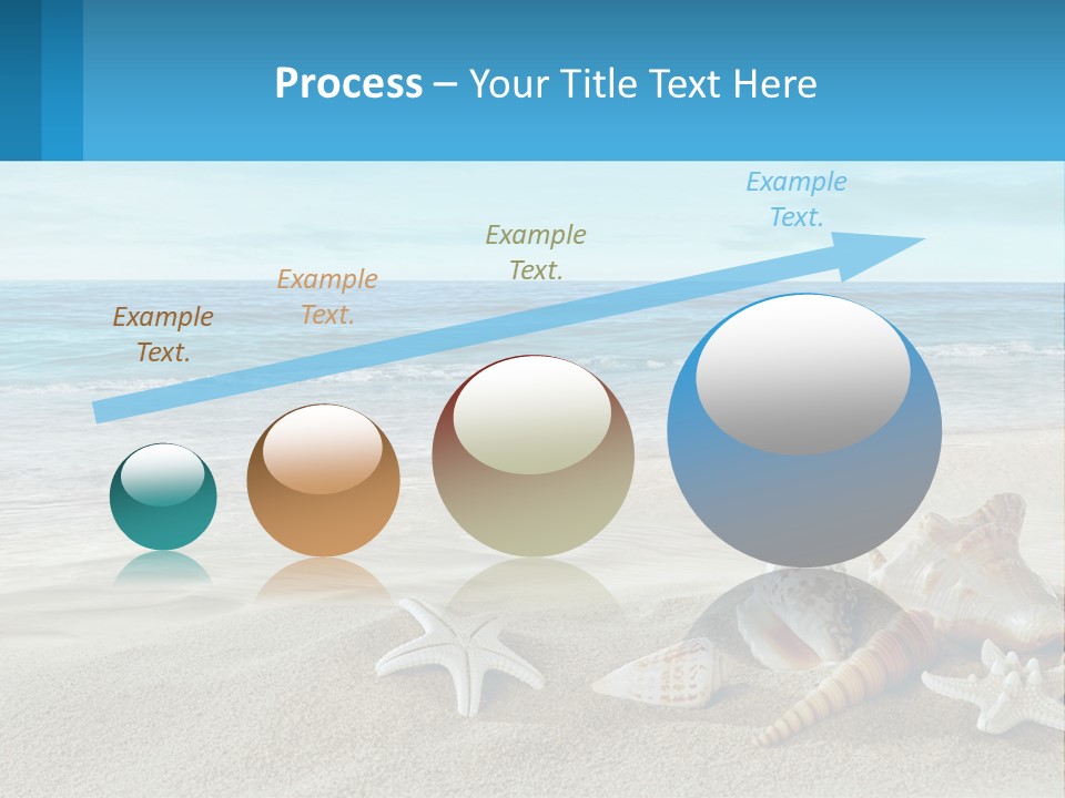 Seashells And Starfish On The Beach Powerpoint Template PowerPoint Template